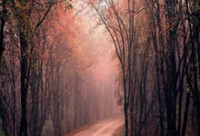 乌迪内斯客场平局，联赛形势略显恶化