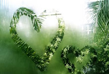 乌迪内斯客场平局，联赛形势略显恶化