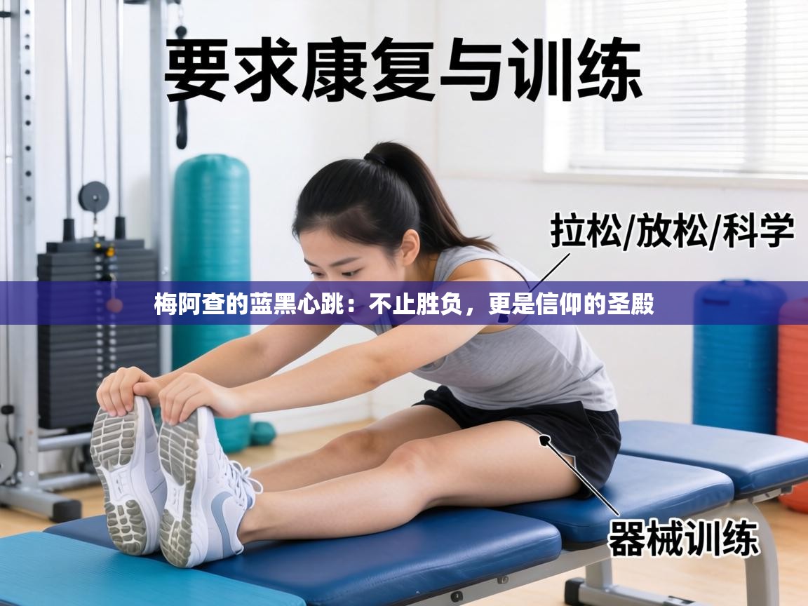 梅阿查的蓝黑心跳：不止胜负，更是信仰的圣殿  第2张