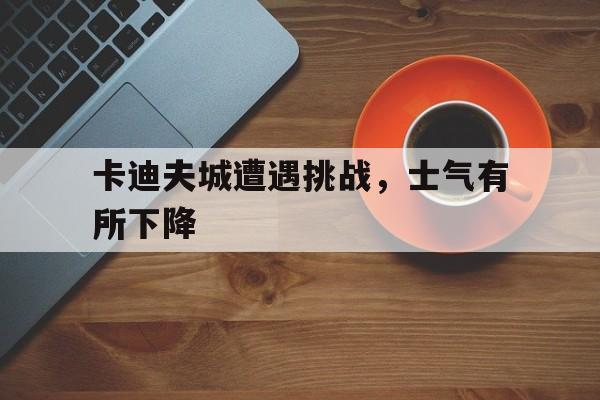 爱游戏体育平台-关于卡迪夫城遭遇挑战，士气有所下降的信息