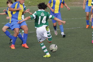 爱游戏体育网站-沃尔夫斯堡惨遭大损，客场被对手逆转，08-09沃尔夫斯堡